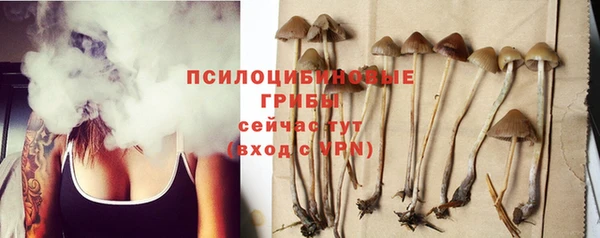Альфа ПВП Верхний Тагил