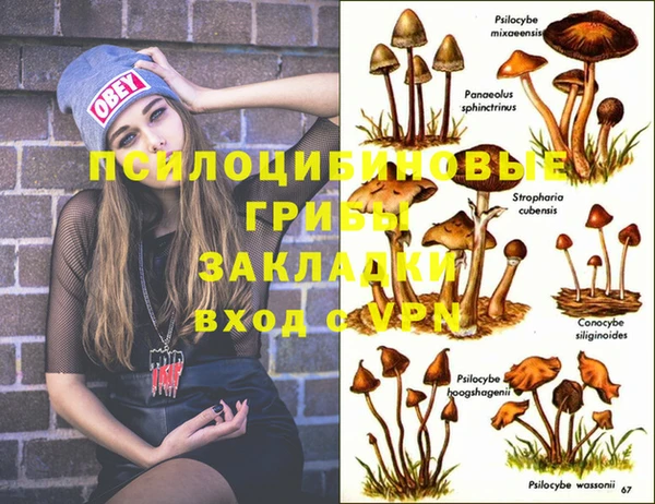 крисы Верея