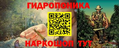 PSILOCYBIN Бугуруслан