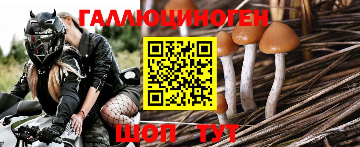 Псилоцибиновые грибы MAGIC MUSHROOMS Выкса