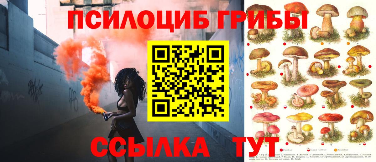 Выкса  Галлюциногенные грибы прущие грибы  Вход с VPN 