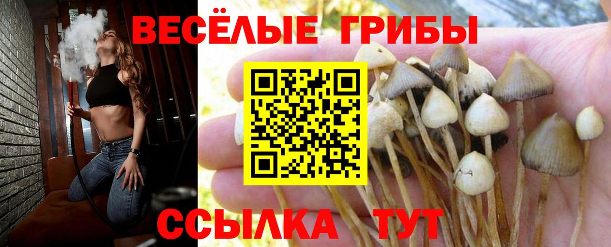 Галлюциногенные грибы мицелий Выкса